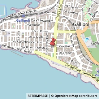 Mappa Via Alfonso Castriota, 7, 73014 Gallipoli LE, Italia, 73014 Gallipoli, Lecce (Puglia)