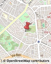 Viale di Villa Massimo, 47,00161Roma