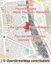 Via Apuania, 57,00162Roma