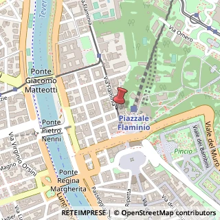 Mappa Via Flaminia,  34, 00196 Roma, Roma (Lazio)