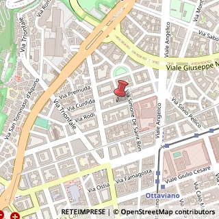 Mappa Via Riccardo Grazioli Lante, 76, 00195 Roma, Roma (Lazio)