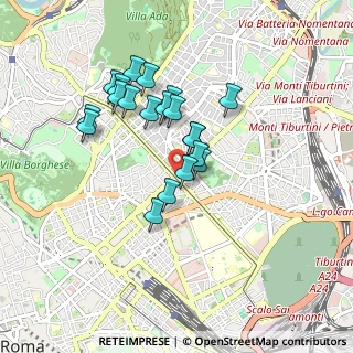 Mappa Via Nomentana, 00161 Roma RM, Italia (0.786)