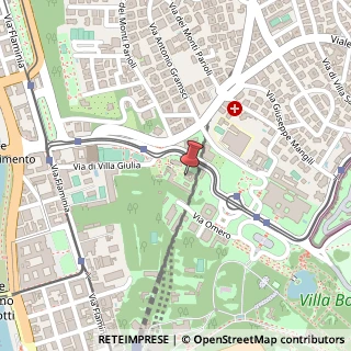 Mappa Via di Villa Giulia, 9, 00196 Roma, Roma (Lazio)