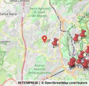 Mappa Via Cristoforo Numai, 00168 Roma RM, Italia (3.943)