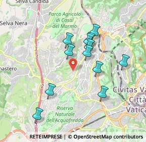 Mappa Via Cristoforo Numai, 00168 Roma RM, Italia (1.76333)