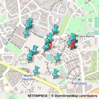 Mappa Via Flora, 00158 Roma RM, Italia (0.23462)