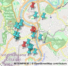 Mappa Via Don Giovanni Verità, 00195 Roma RM, Italia (1.011)