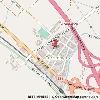 Mappa Via della Bonifica di Torrimpietra, 11, 00050 Fiumicino, Roma (Lazio)