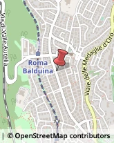 Via Baldi Andrea, 13,00136Roma