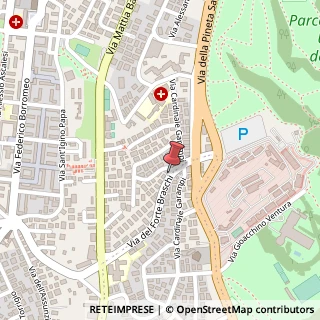 Mappa Via del Forte Braschi, 52, 00167 Roma, Roma (Lazio)