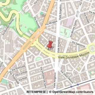 Mappa Viale Giuseppe Mazzini, 134, 00195 Roma, Roma (Lazio)