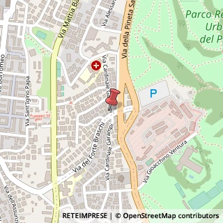 Mappa Via Cardinale Garampi, 157, 00167 Roma, Roma (Lazio)