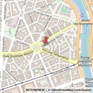 Mappa Viale Giuseppe Mazzini, 49, 00195 Roma, Roma (Lazio)