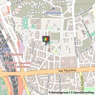 Feste - Organizzazione e Servizi Roma,00155Roma