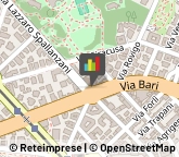 Associazioni Culturali, Artistiche e Ricreative,00161Roma