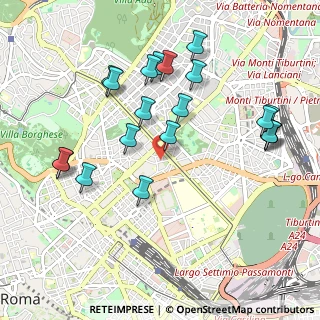 Mappa Via Guglielmo Saliceto, 00161 Roma RM, Italia (1.111)