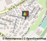 Associazioni Culturali, Artistiche e Ricreative,00168Roma