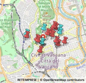 Mappa Circonvallazione Trionfale, 00195 Roma RM, Italia (0.571)