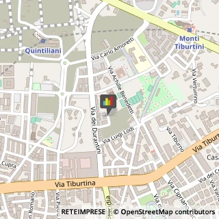 Palestre e Centri Fitness,00157Roma