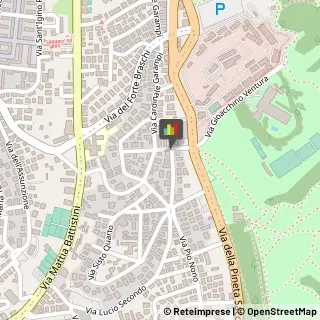 Disinfezione, Disinfestazione e Derattizzazione,00167Roma