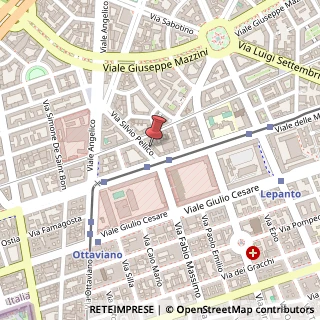 Mappa Via Silvio Pellico, 10, 00195 Roma, Roma (Lazio)