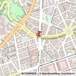 Mappa Viale Giuseppe Mazzini, 117, 00195 Roma, Roma (Lazio)