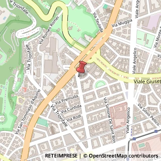 Mappa Via della Giuliana, 80, 00195 Roma, Roma (Lazio)