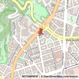 Mappa Via della Giuliana, 82, 00195 Roma, Roma (Lazio)