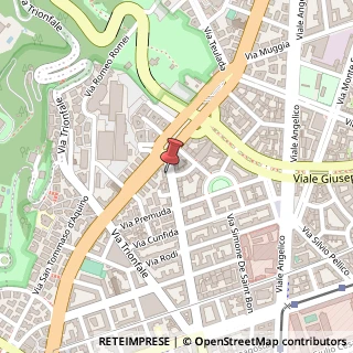 Mappa Via della Giuliana, 87, 00195 Roma, Roma (Lazio)