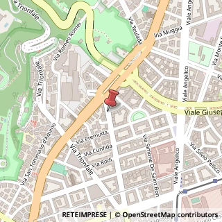 Mappa Via della Giuliana, 101, 00195 Roma, Roma (Lazio)