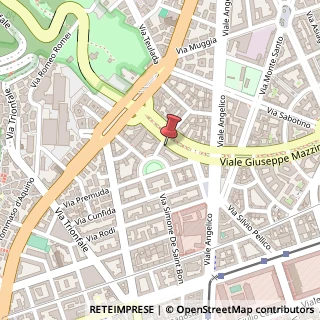Mappa Viale Giuseppe Mazzini, 123, 00195 Roma, Roma (Lazio)