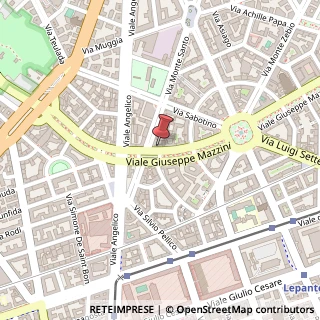 Mappa Viale Giuseppe Mazzini, 102, 00195 Roma, Roma (Lazio)