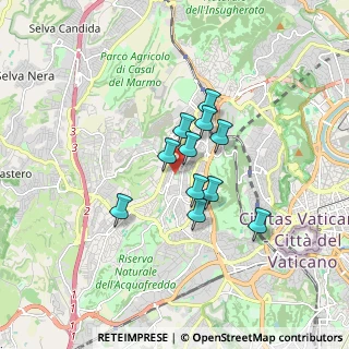 Mappa Via Aleandro Gerolamo, 00168 Roma RM, Italia (1.25091)