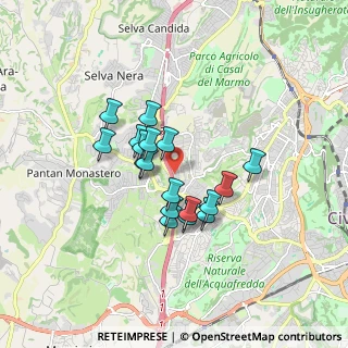 Mappa Via Vignale, 00166 Roma RM, Italia (1.35667)