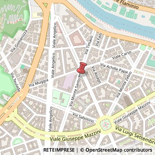 Mappa Via Monte Santo, 68, 00195 Roma, Roma (Lazio)
