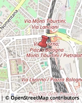 Via Ugo Balzani, 59,00162Roma