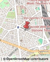 Via Lorenzo il Magnifico, 50,00162Roma