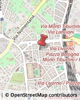 Via Ignazio Giorgi, 56,00162Roma