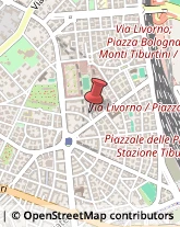 Via Luigi Pigorini, 6,00162Roma