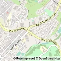 Map Roma