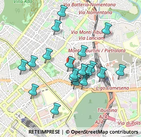 Mappa Sede legale, 00161 Roma RM, Italia (0.867)