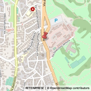 Mappa Via della Pineta Sacchetti, 43, 00168 Roma, Roma (Lazio)