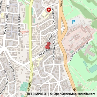 Mappa Via del Forte Braschi, 81, 00167 Roma, Roma (Lazio)