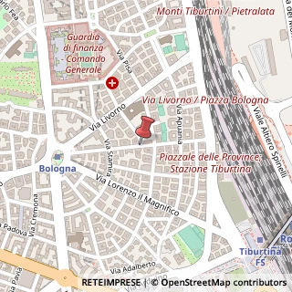 Mappa Via michele di lando 96, 00162 Roma, Roma (Lazio)