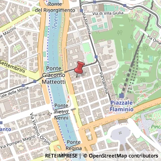 Mappa Via Pasquale Stanislao Mancini, 20, 00196 Roma, Roma (Lazio)