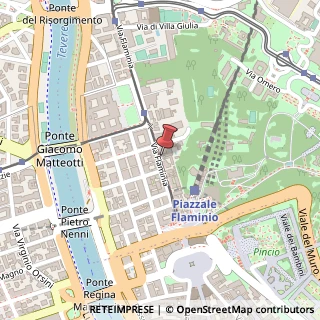 Mappa Via Flaminia, 56, 00196 Roma, Roma (Lazio)