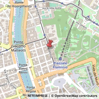 Mappa Via Flaminia, 53, 00196 Roma, Roma (Lazio)