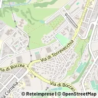 Hartă Roma