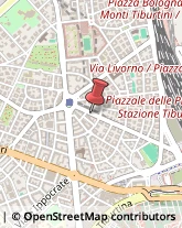 Via Lorenzo il Magnifico, 42,00162Roma