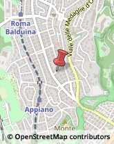 Via Filippo Nicolai, 18/B,00136Roma